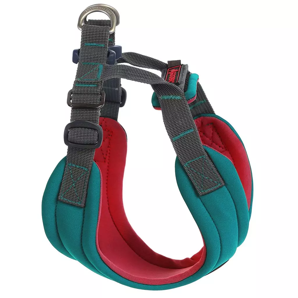 Harnais Sport Convertible Turquoise
