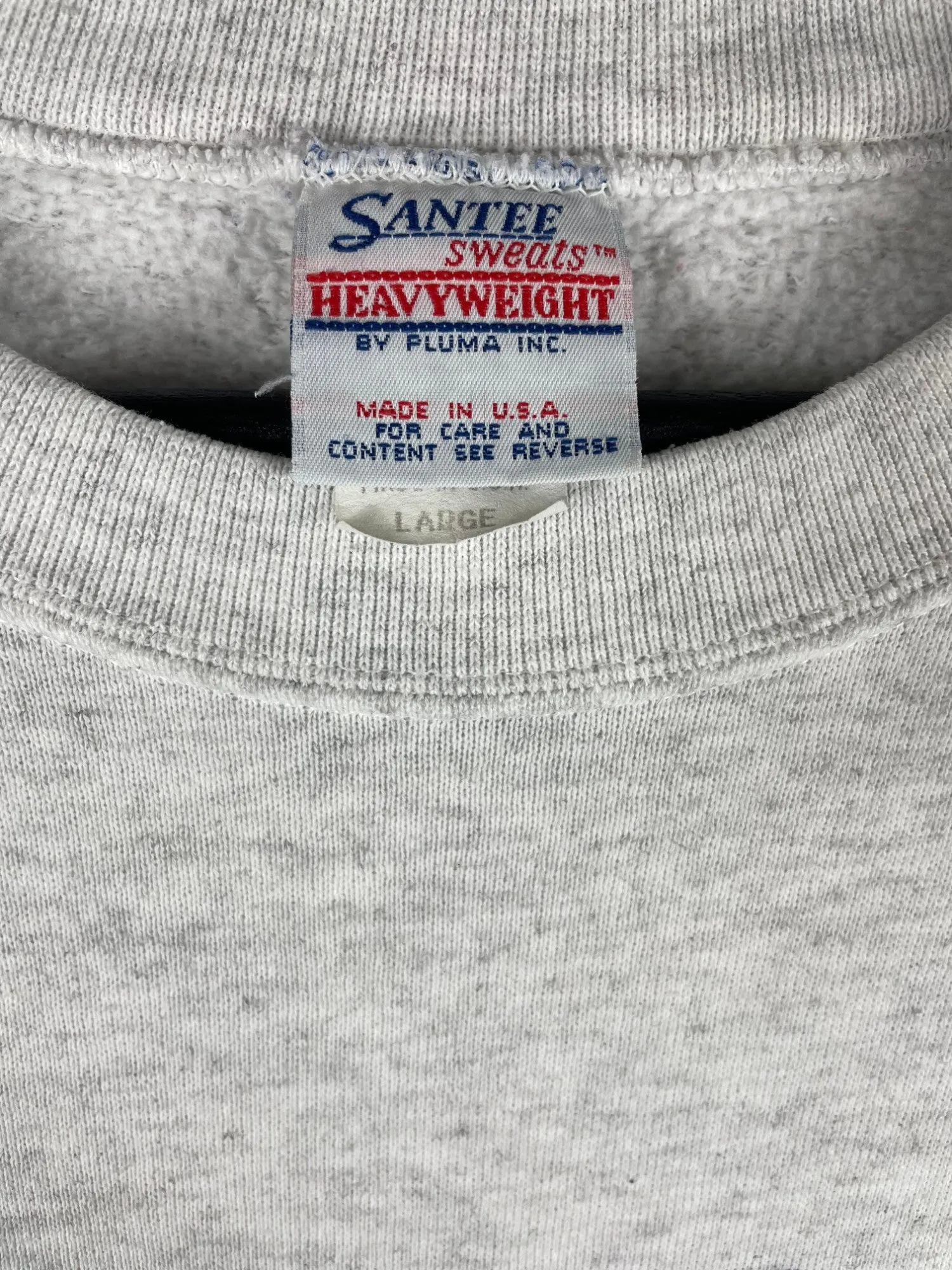 Wisonsin Rose Bowl T-Shirt 1994